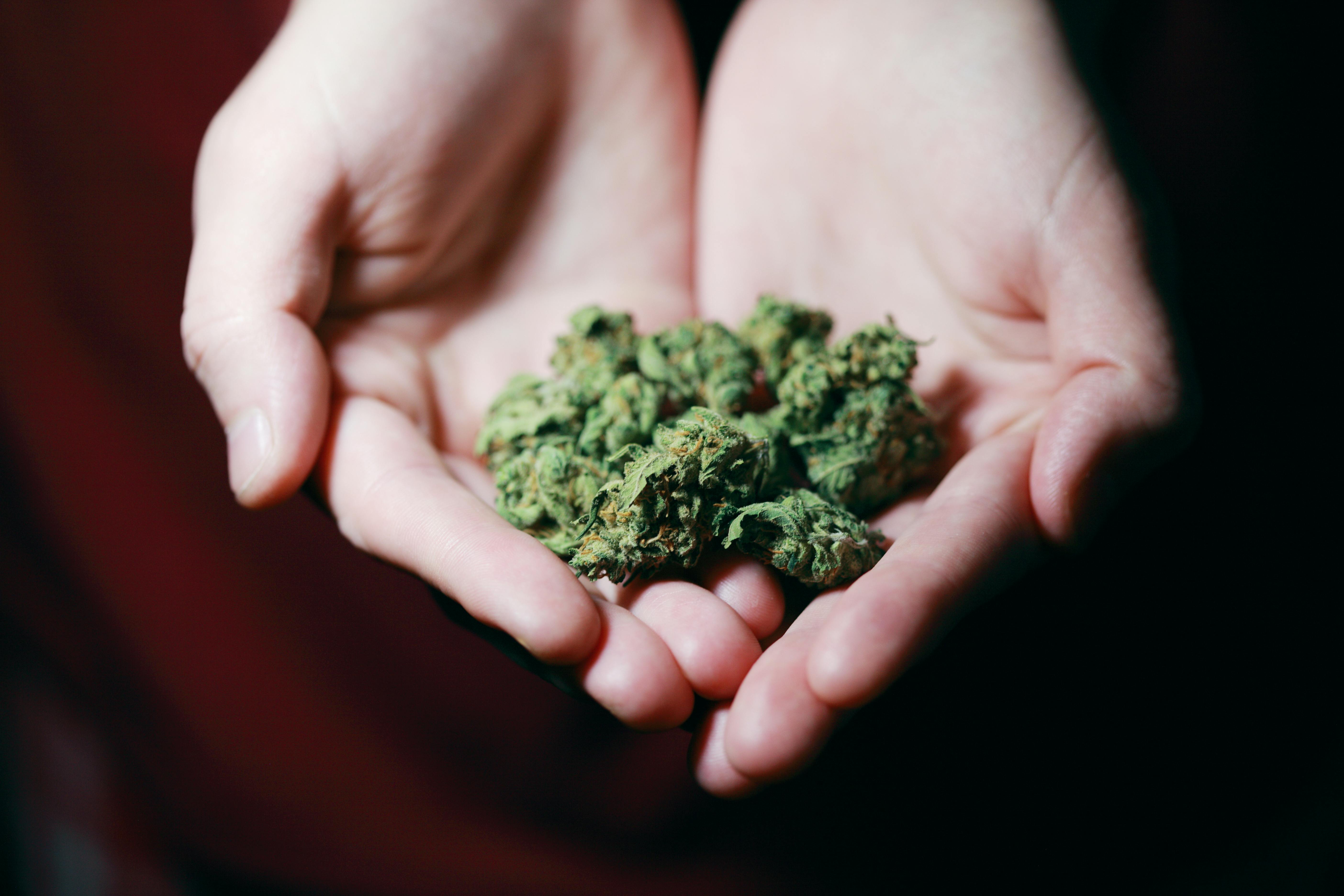 Cocaine and Stimulant Addiction Treatment in Los Angeles: Detox, Rehab, and Holistic Recovery (2026 Guide)